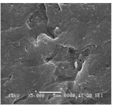 Modified polyvinylidene fluoride (PVDF) hollow fibrous membrane and preparation method thereof