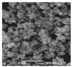 Modified polyvinylidene fluoride (PVDF) hollow fibrous membrane and preparation method thereof