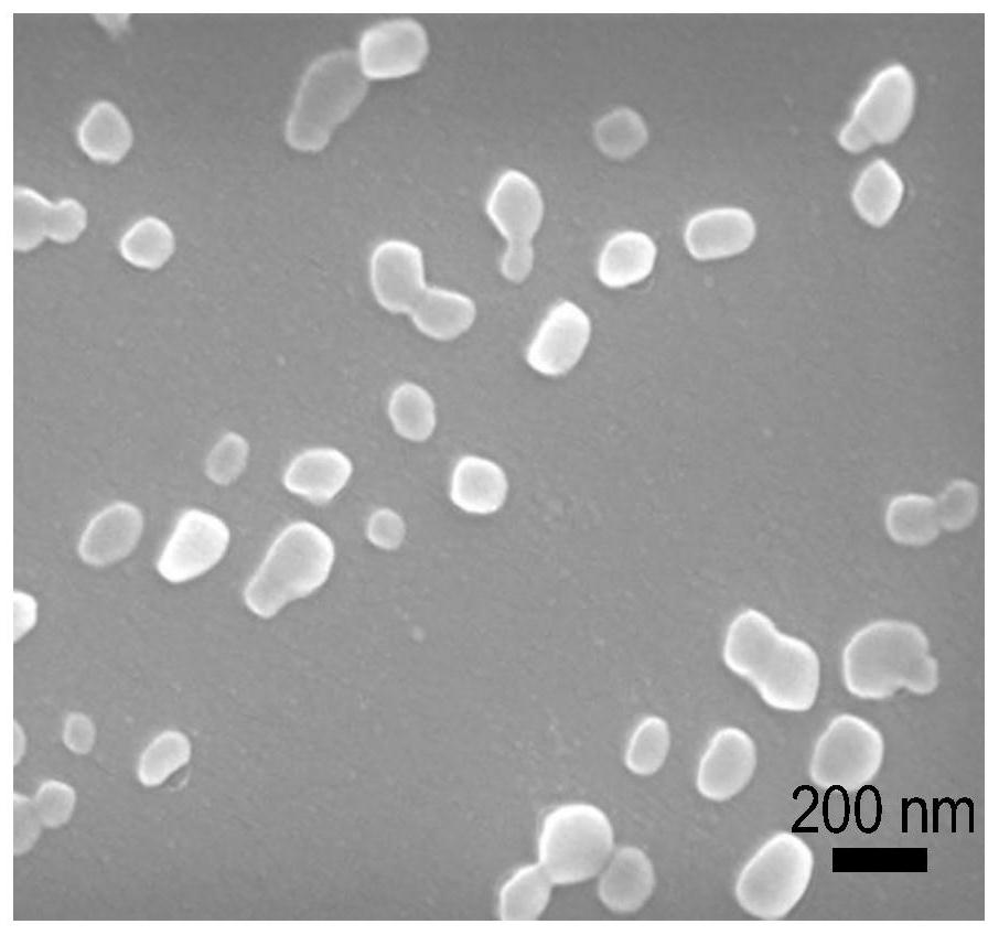 Preparation of polyphenol-iron ion nano material and application of polyphenol-iron ion nano material in oral infection