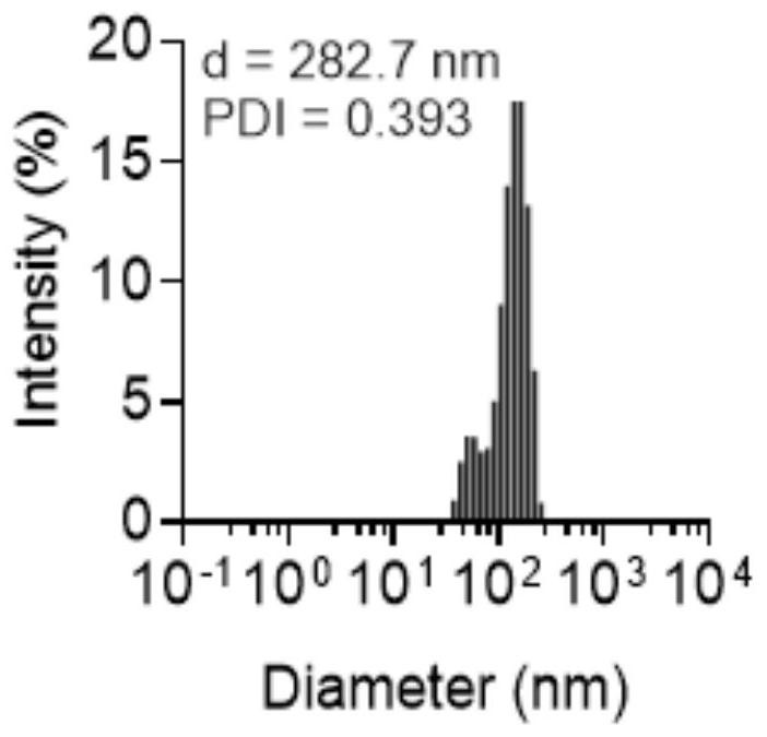 Preparation of polyphenol-iron ion nano material and application of polyphenol-iron ion nano material in oral infection