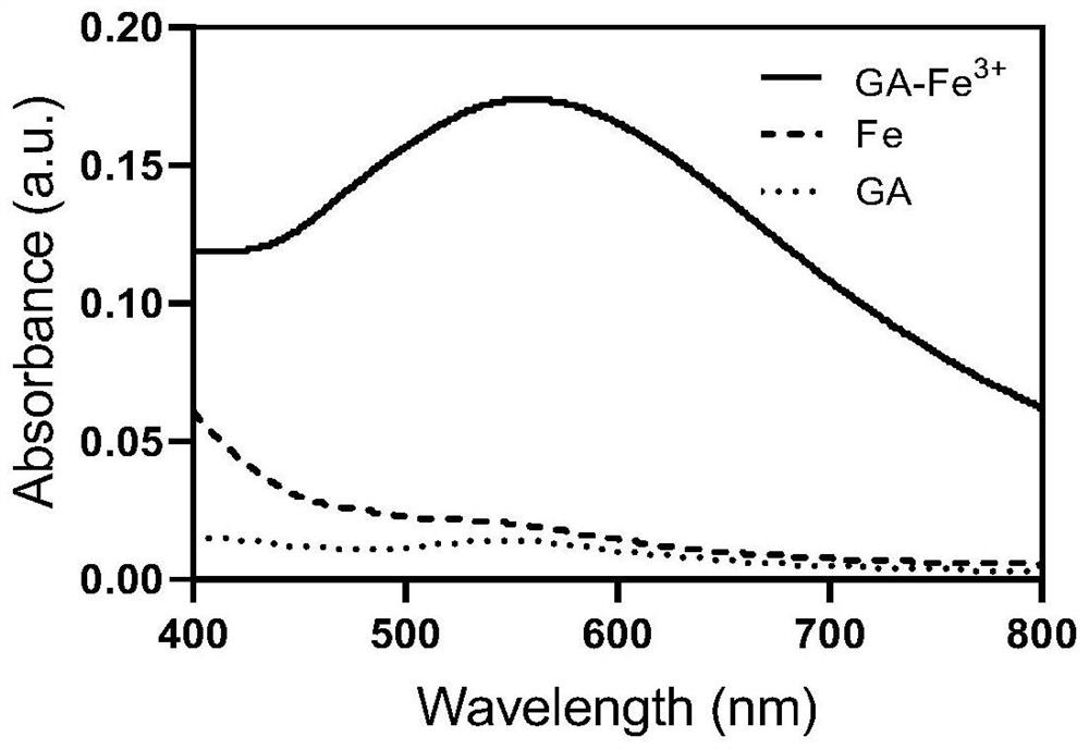 Preparation of polyphenol-iron ion nano material and application of polyphenol-iron ion nano material in oral infection