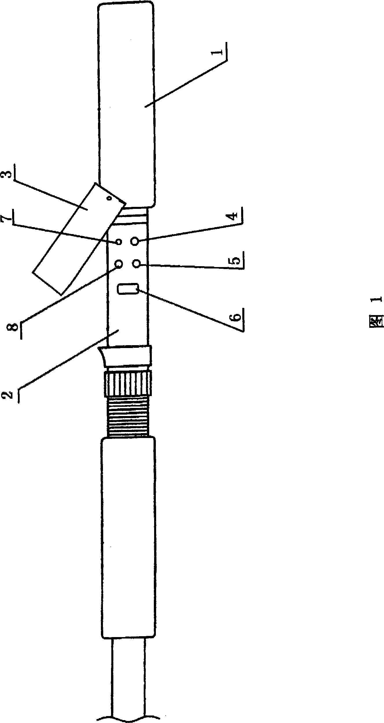 Fish pole with audio player