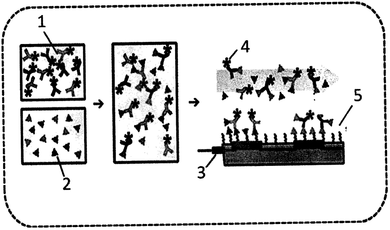 Ocean ecologic toxicology research platform based on microfluidic chip