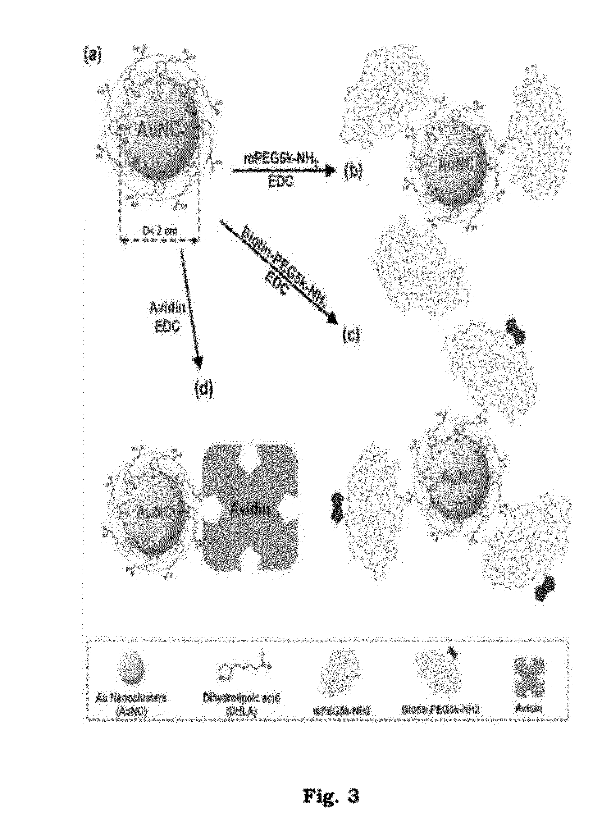 Fluorescent Gold Nanocluster Matrix