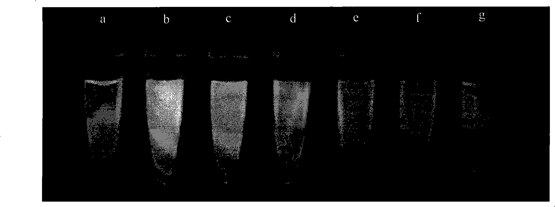 Multi-color optic-encoding siliceous skin nano-rods and method for preparing same