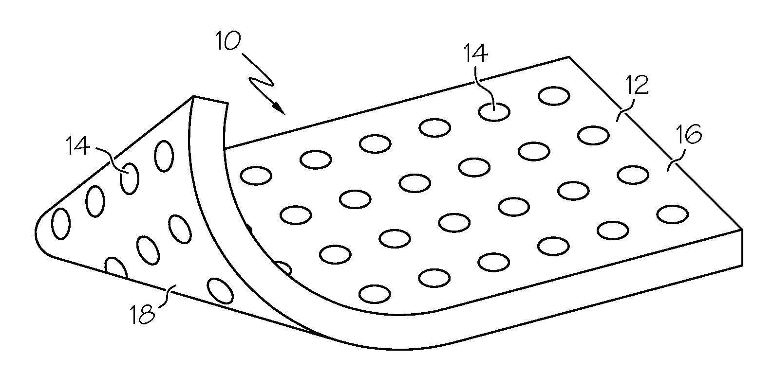 Biomaterial including micropores