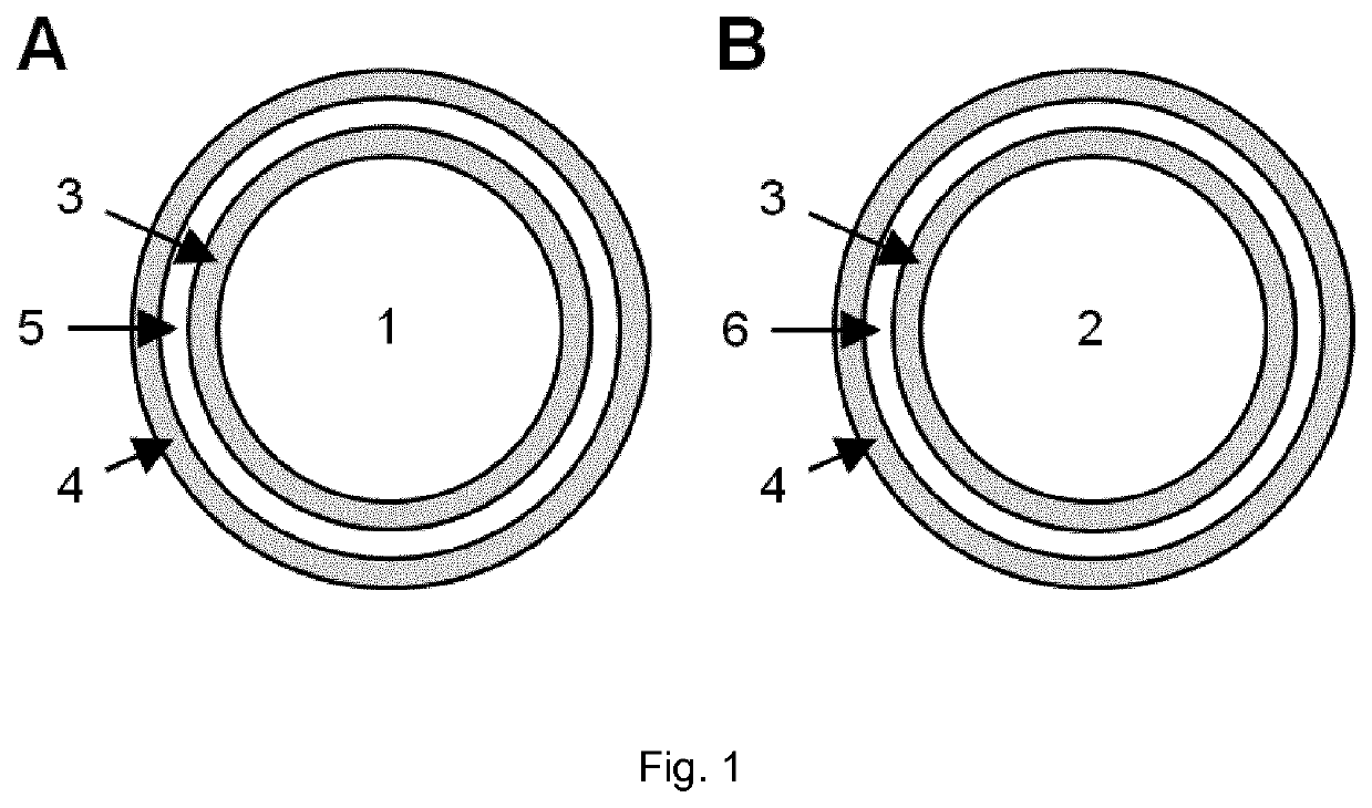 Shellac microcapsule formulations and compositions for topical intestinal delivery of vitamin b3