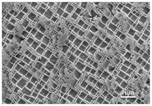 Ni-Co-Al-Cr-Fe series single crystal high-entropy high-temperature alloy and preparation method thereof