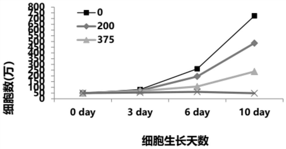 Functions and uses of e2f6 inhibitors