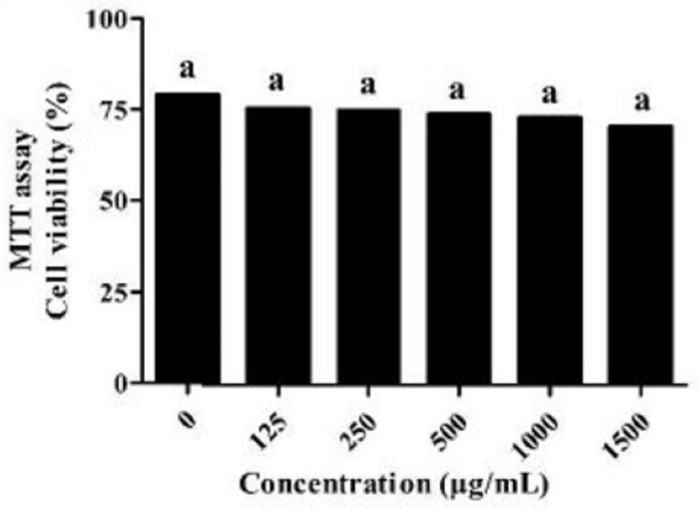 Application of sea grape extract in preparation of pharmaceutical composition or health food for relieving diabetes and preventing or treating reproductive disorder