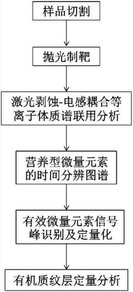 Microscopic quantitative characterization method of organic lamina