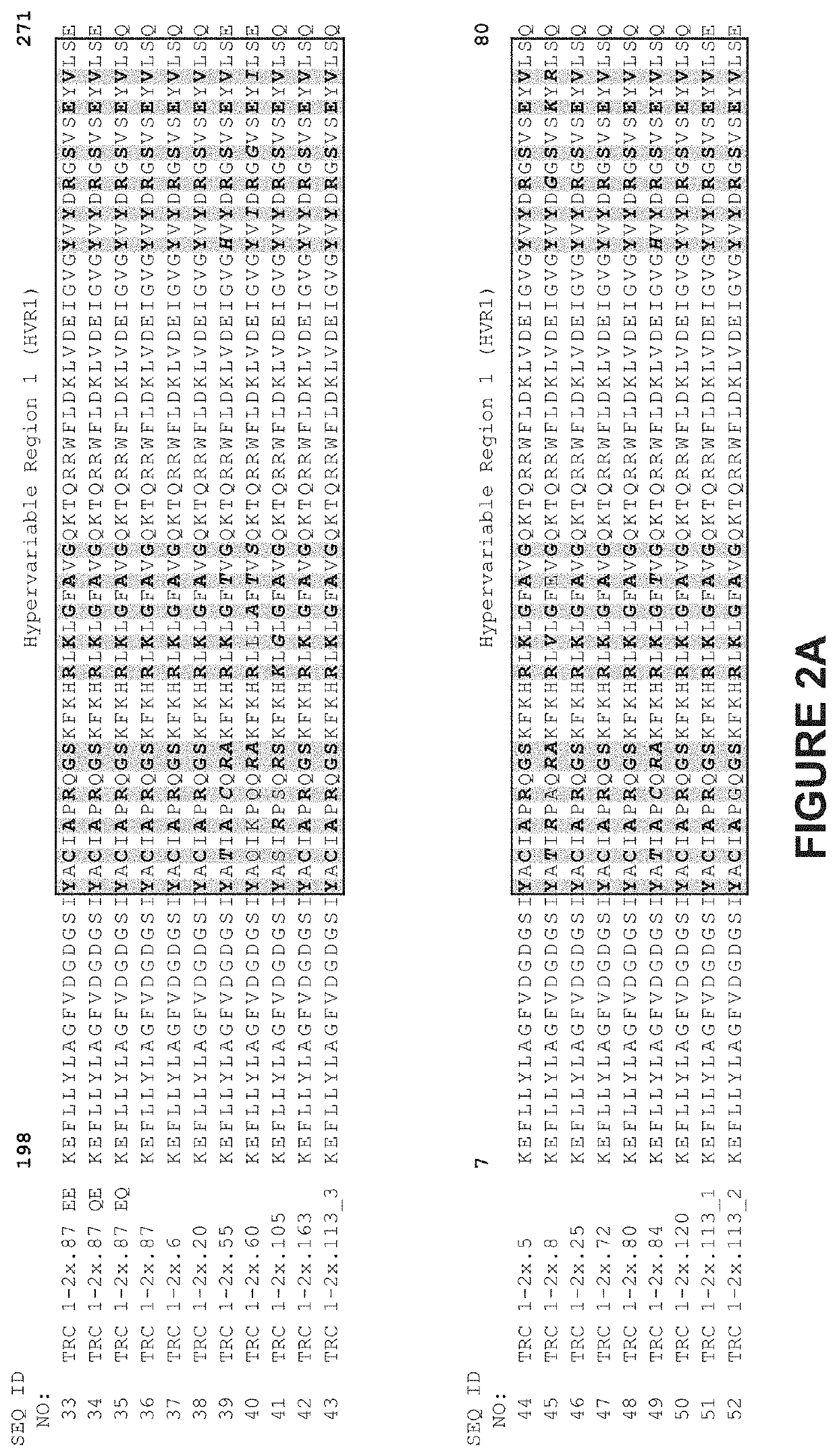 Engineered meganucleases with recognition sequences found in the human T cell receptor alpha constant region gene