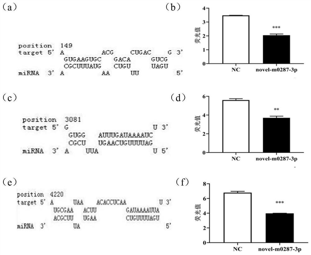 mir-novel-0287-3p and its application in pest control