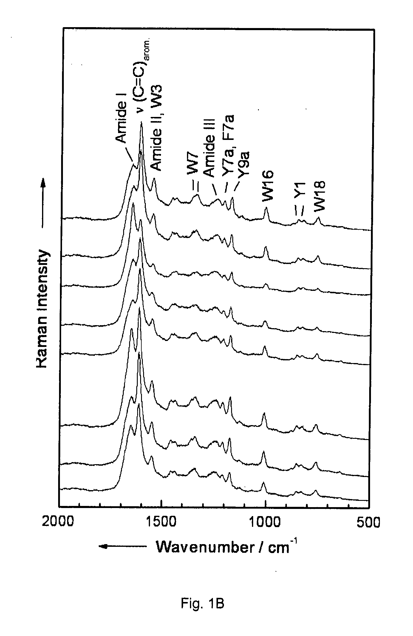 Diagnostic tool detecting the degradation status of Von Willebrand Factor multimers