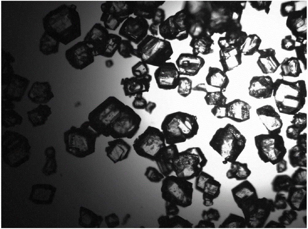 Citric acid crystal and production method thereof