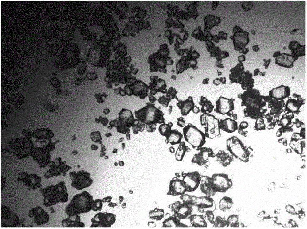 Citric acid crystal and production method thereof