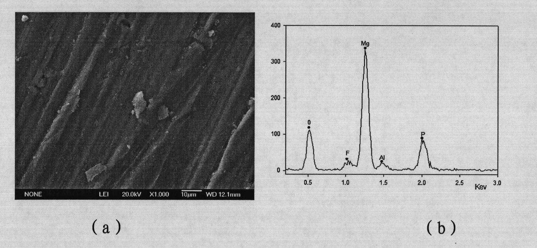 Surface pretreatment solution and pretreatment method used for bonding magnesium alloys