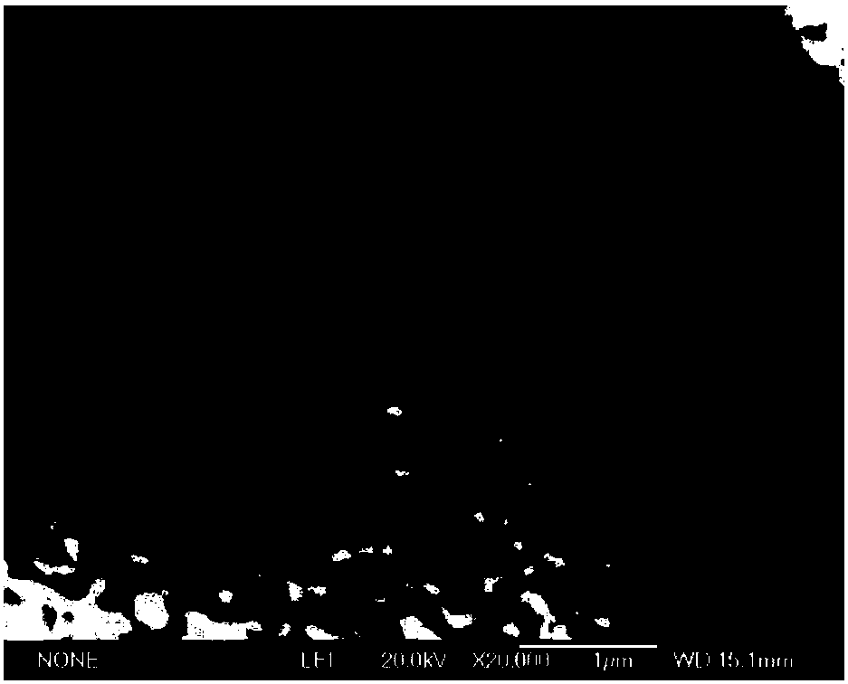 Micro-nano dual-stage porous copper and preparing method thereof