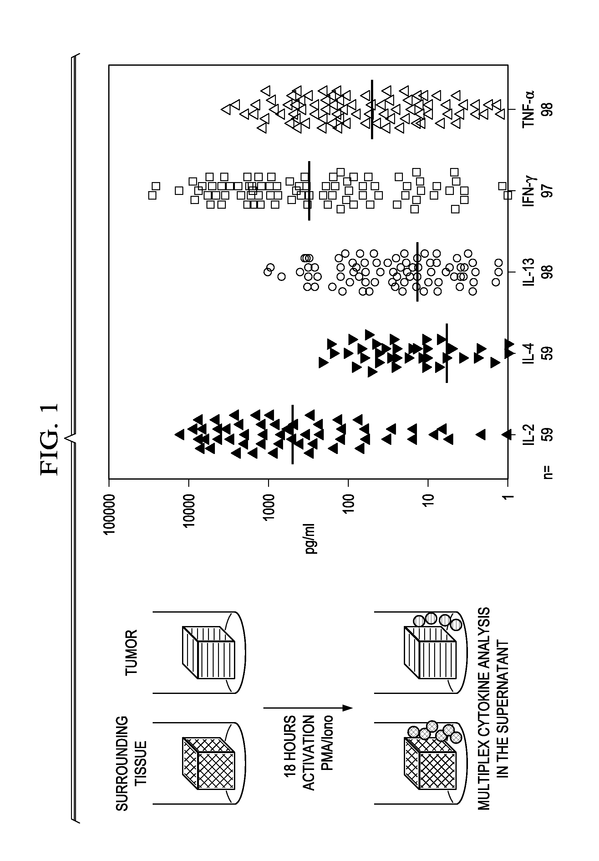 Reprogramming immune environment in breast cancer via dendritic cells