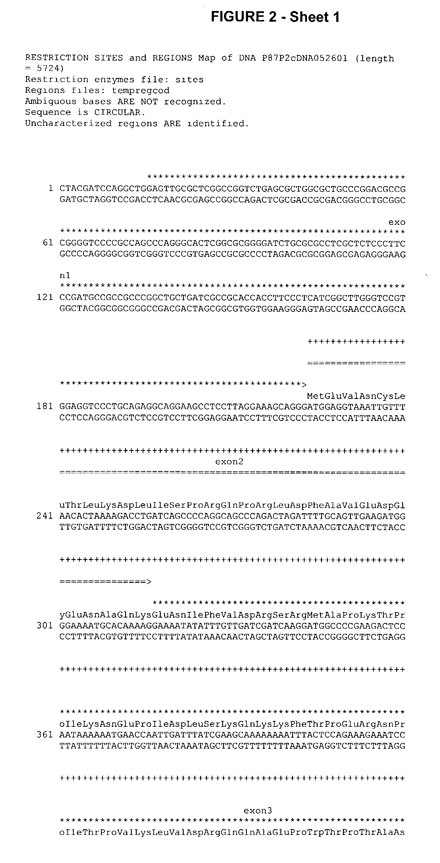 Telomerase expression repressor proteins and methods of using the same