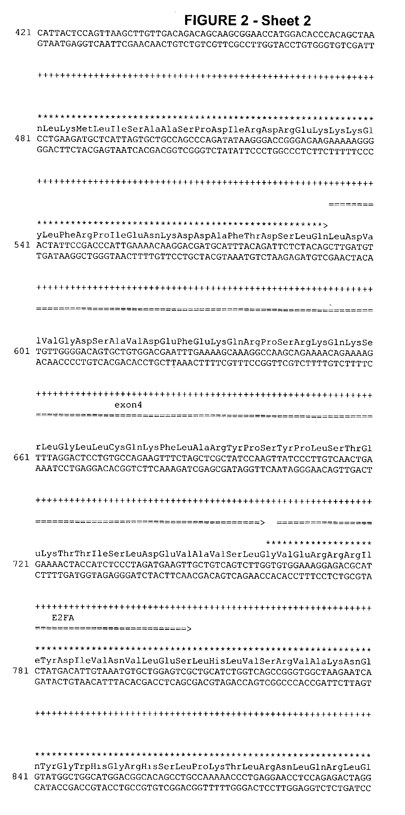 Telomerase expression repressor proteins and methods of using the same