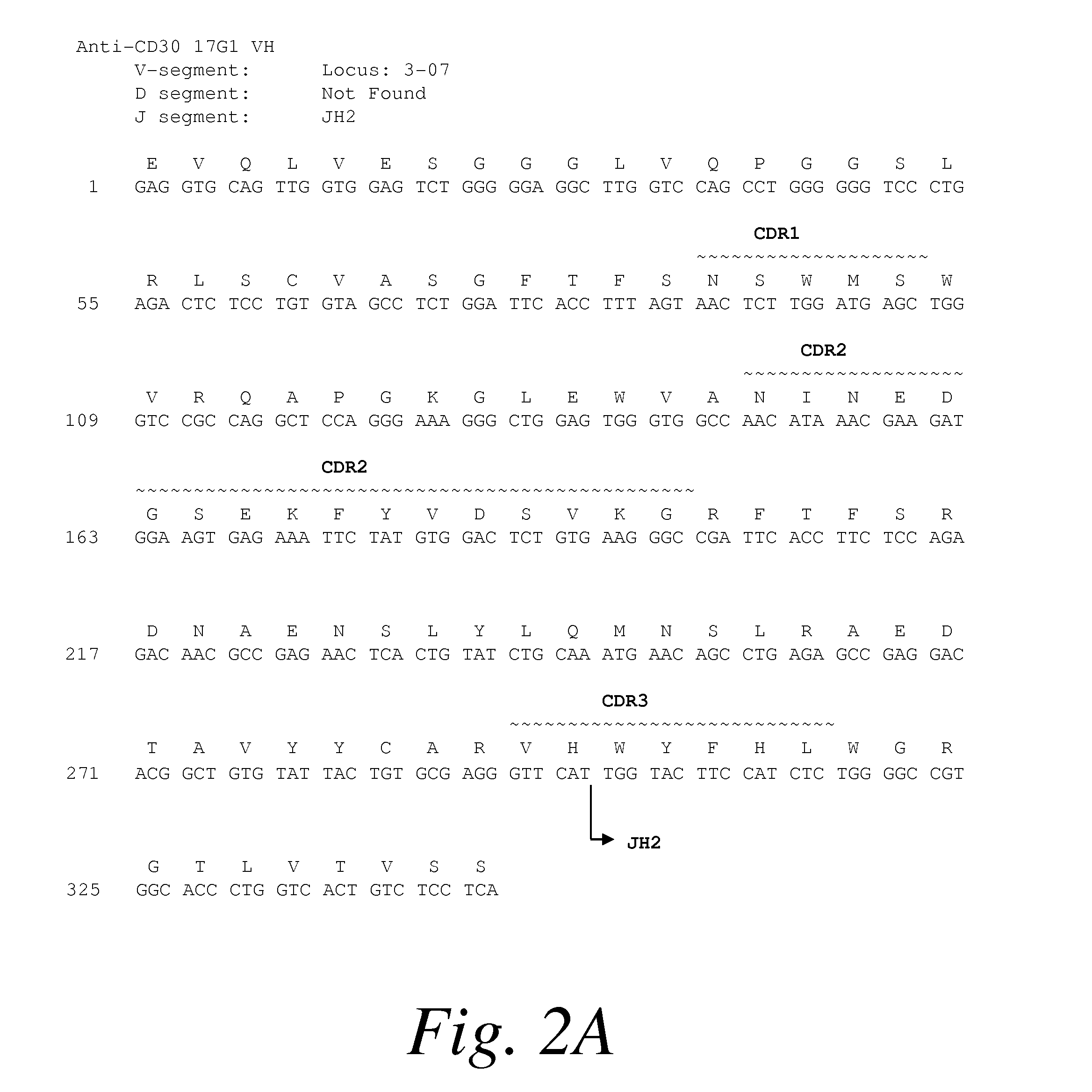 Monoclonal antibodies against cd30 lacking in fucosyl and xylosyl residues