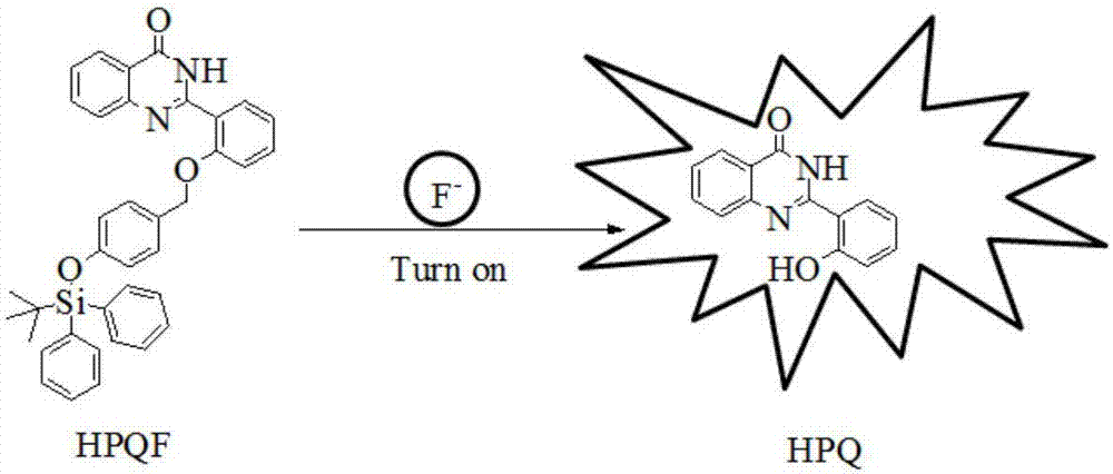 Fluorescent probe for detecting fluorine ions in living cells and method for preparing fluorescent probe