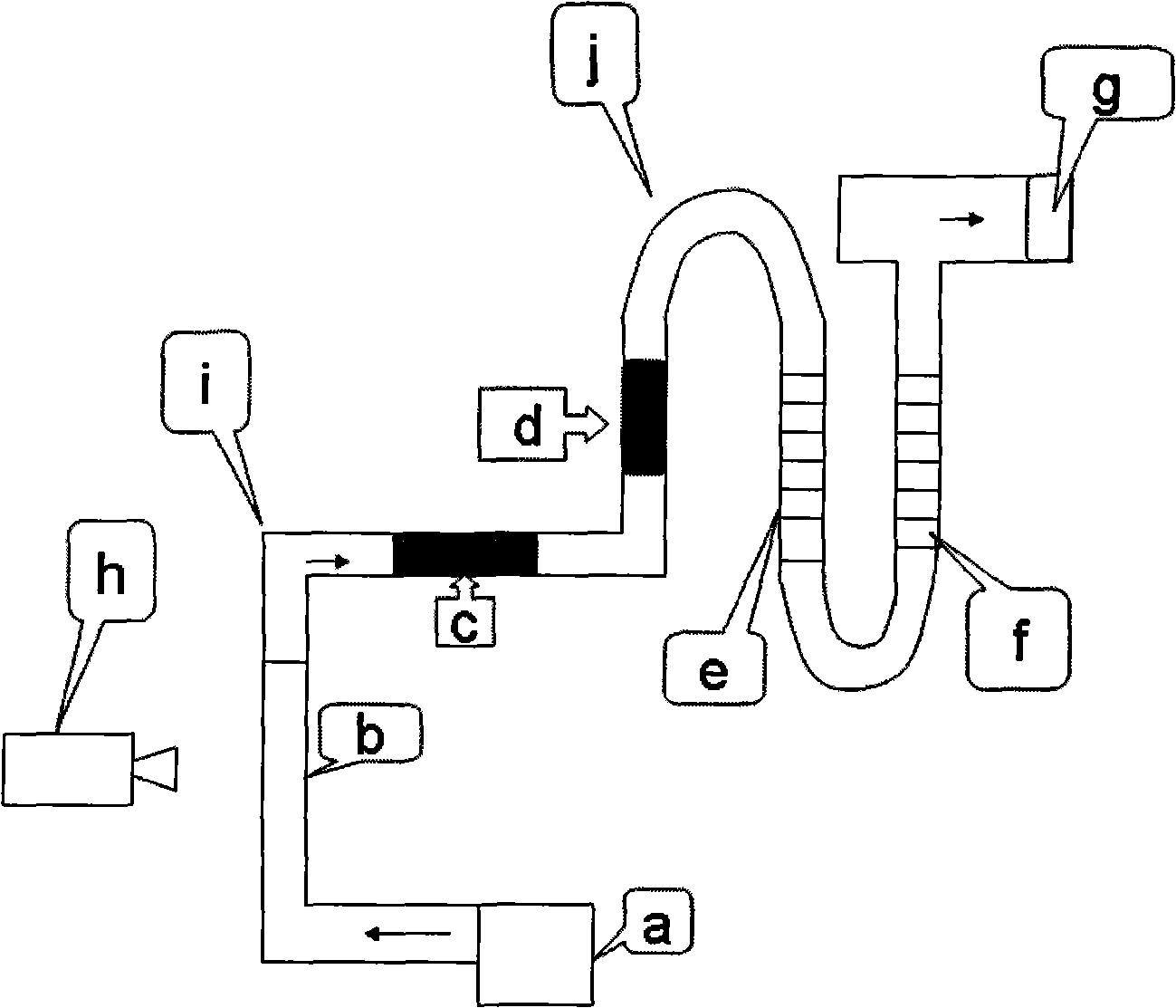 Testing device for analyzing moving function of animal limb and footmark