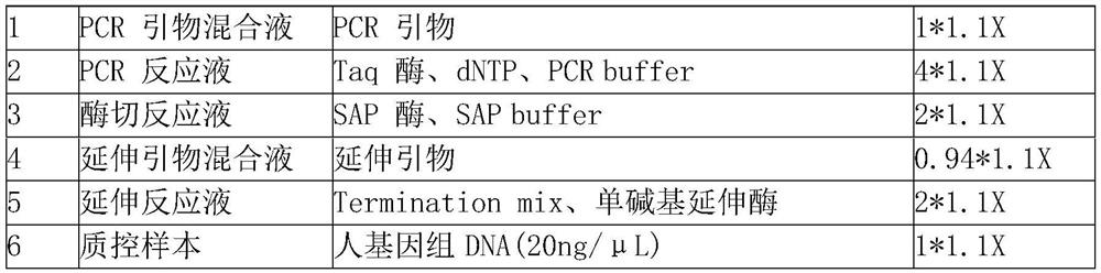 Gene SNP detection kit for determining the therapeutic effect of clopidogrel