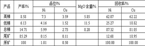 A kind of beneficiation method of copper-nickel sulfide ore