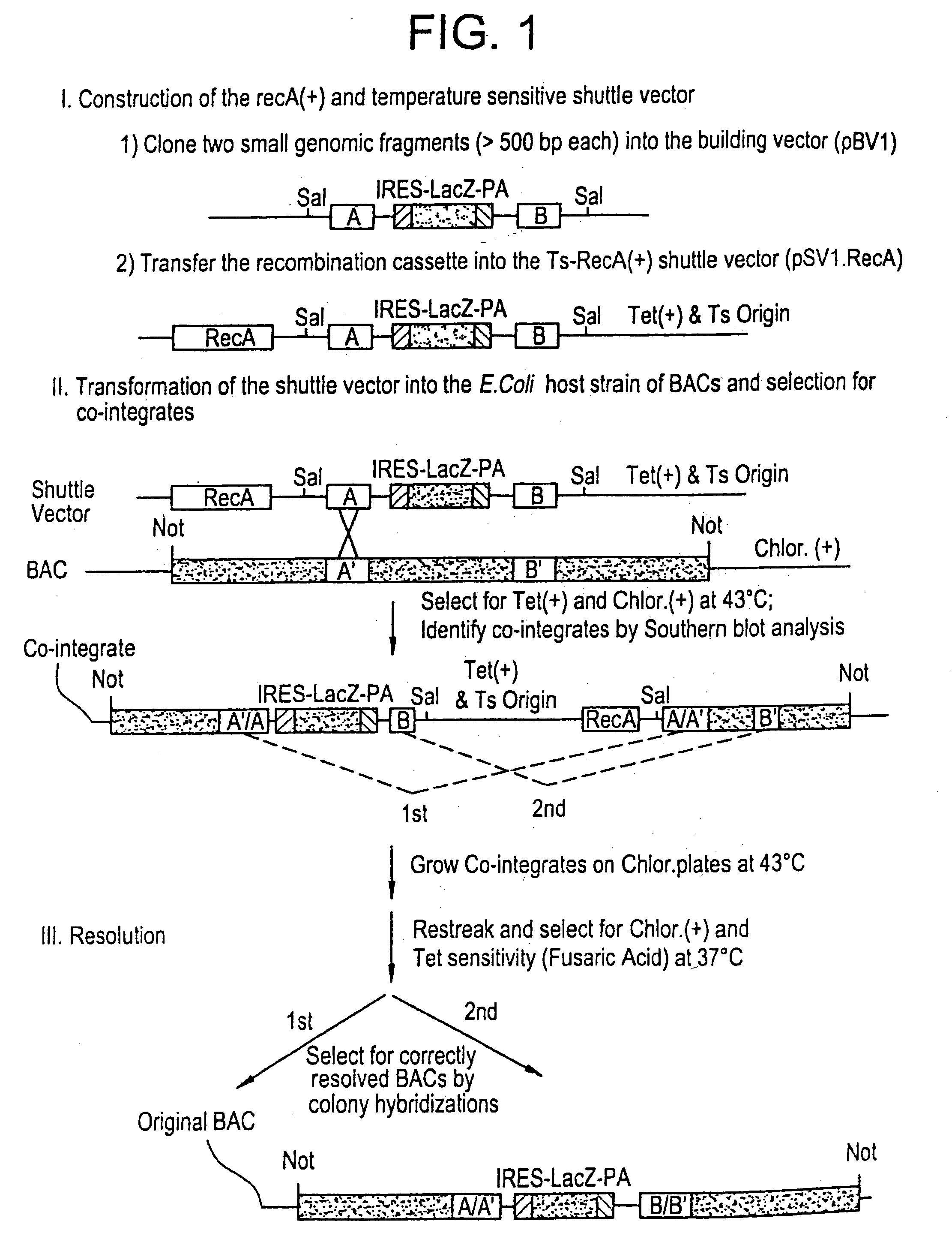 Methods of preforming homologous recombination based modification of nucleic acids in recombination deficient cells and use of the modified nucleic acid products thereof