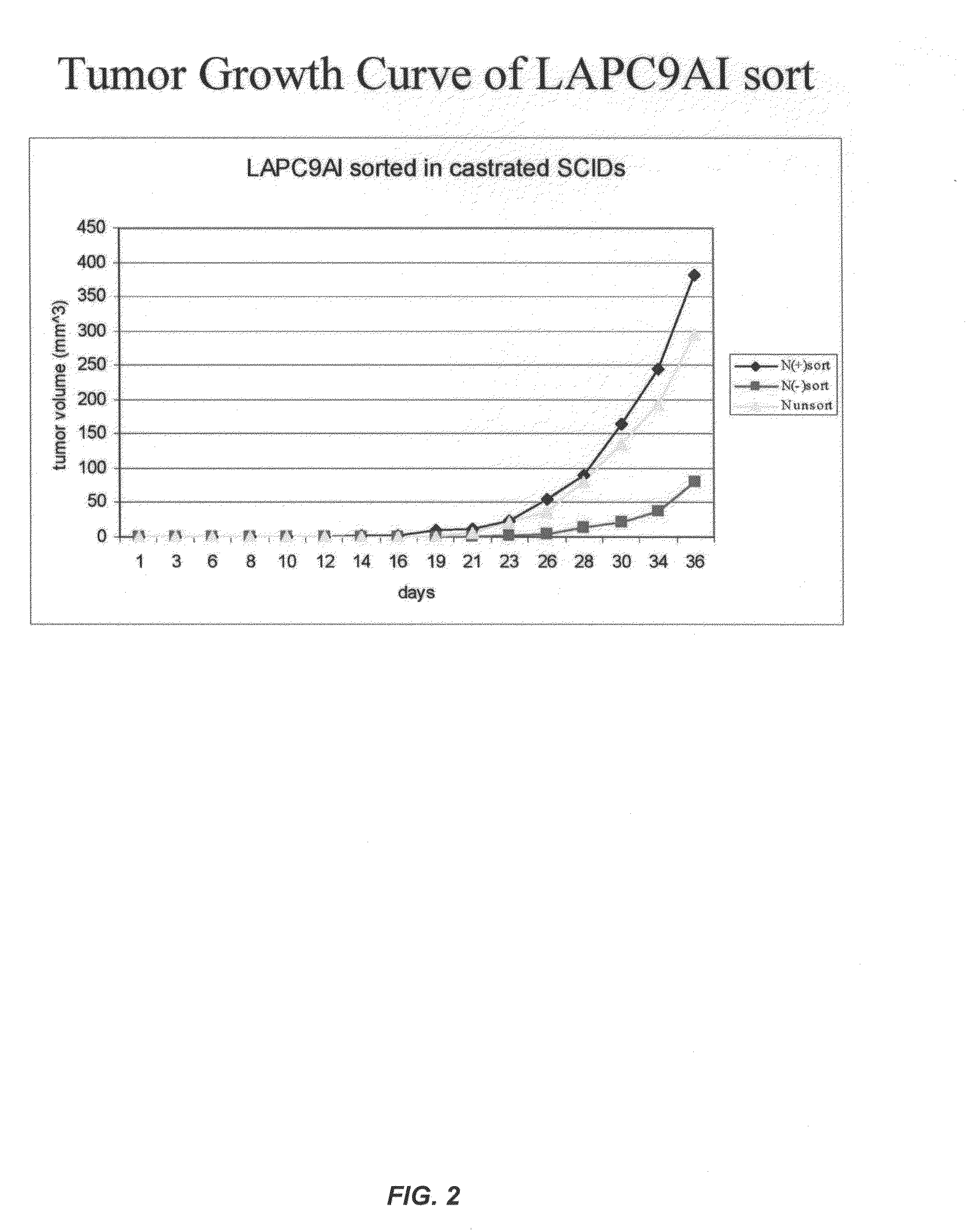 Fully human antibodies against N-Cadherin