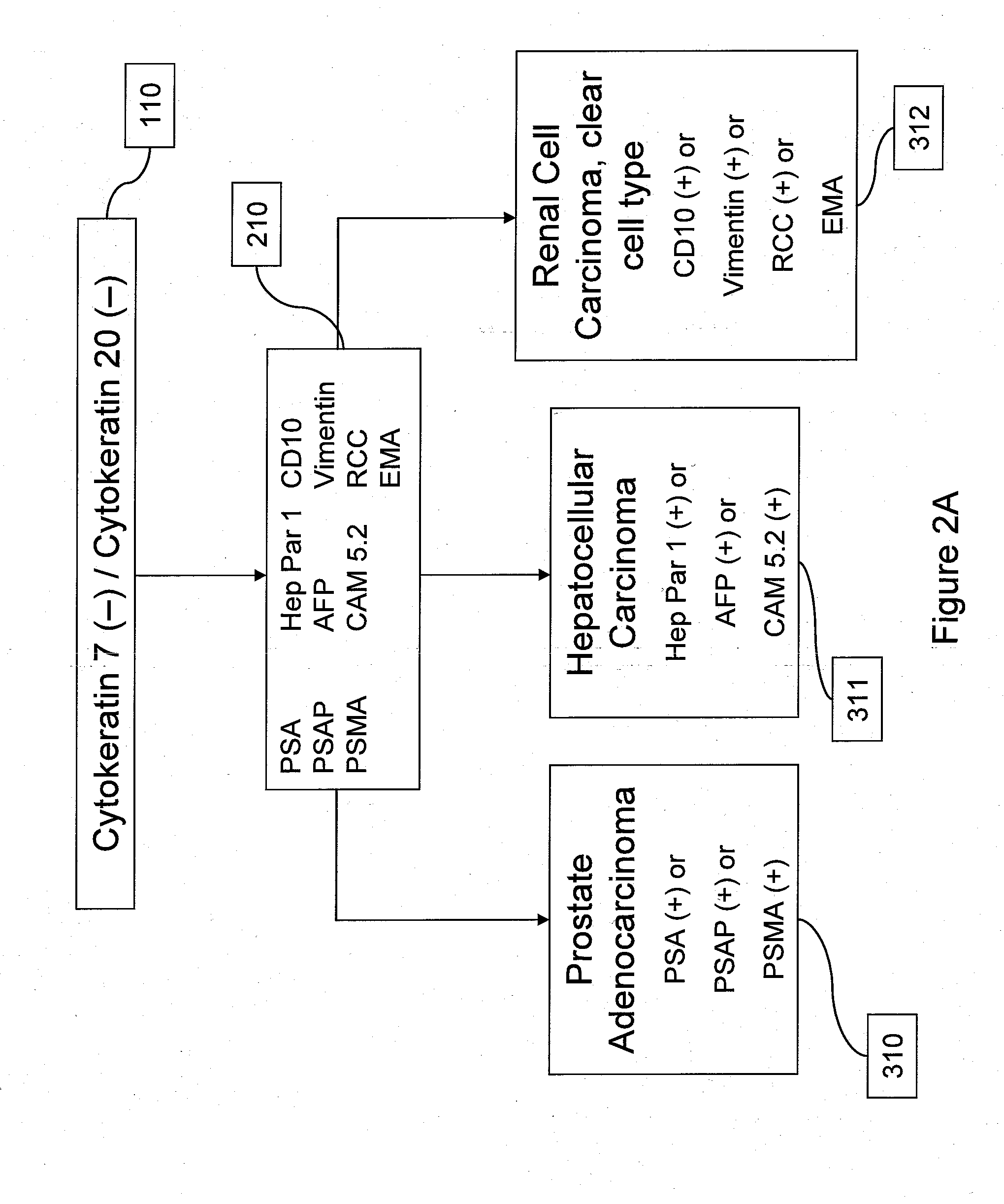 Methods of detecting cancer