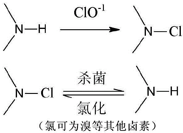 Quaternization hadegen amide modified chitosan and method for preparing antibacterial cotton fabric