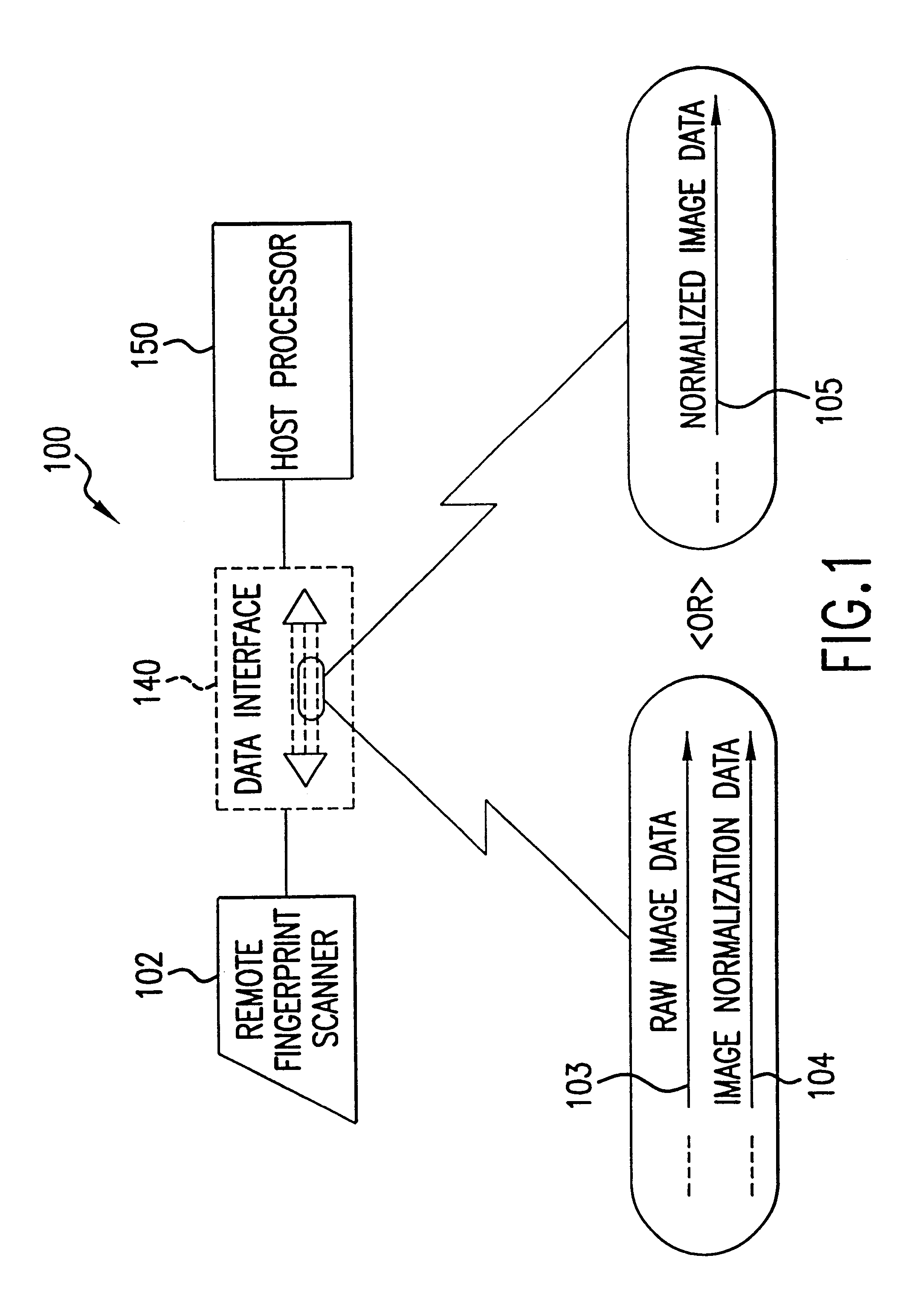 Hand-held fingerprint scanner with on-board image normalization data storage