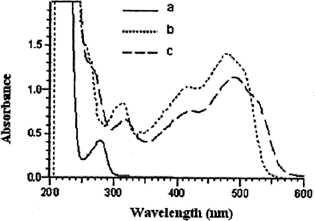 ELISA adsorption analysis method for detecting monoclonal antibodies of sudan red NO.1 in foodstuff