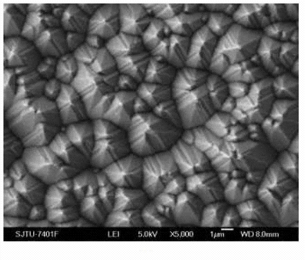 Solar energy mono-crystalline silicon piece flocking solution and application method thereof