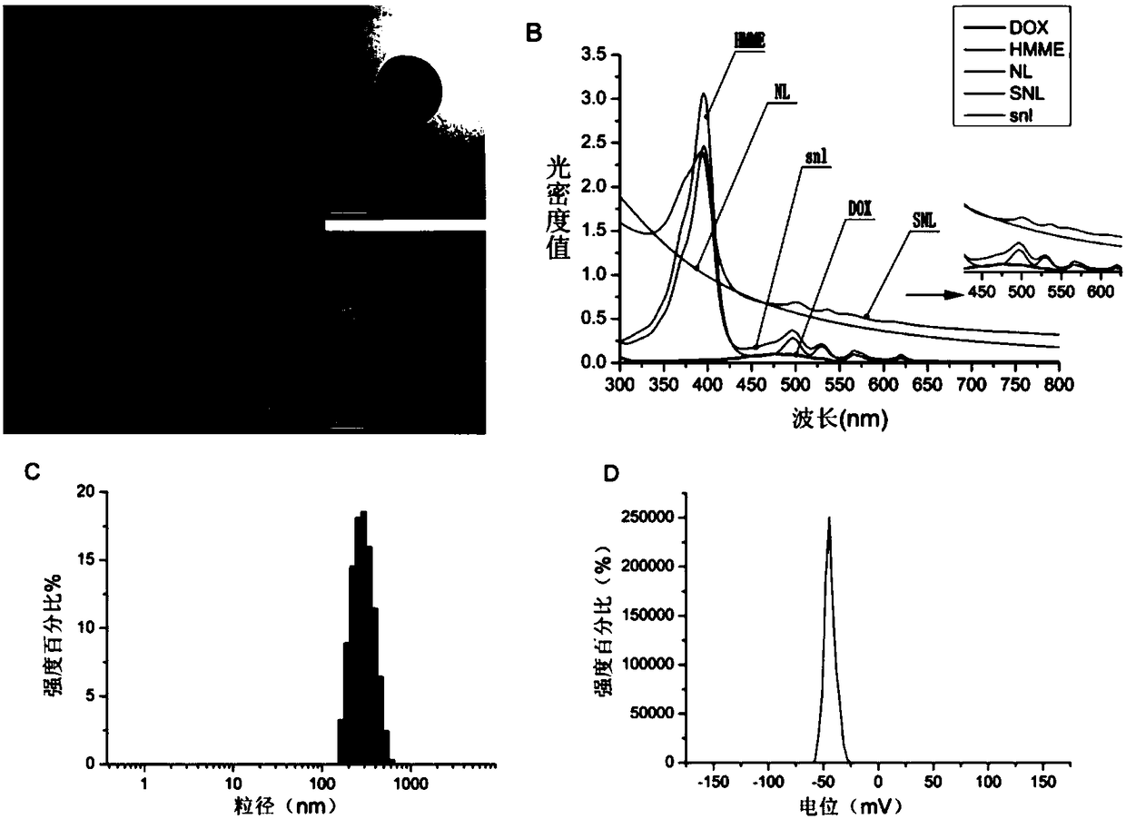 Sound sensitive lipid nanoparticle as well as application and preparation method thereof