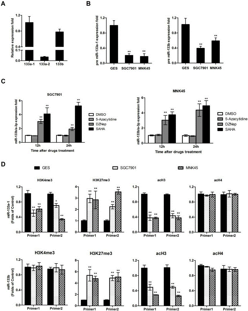 Applications of miR-133 micromolecular nucleic acid medicines in preparing medicines for resisting gastric cancer