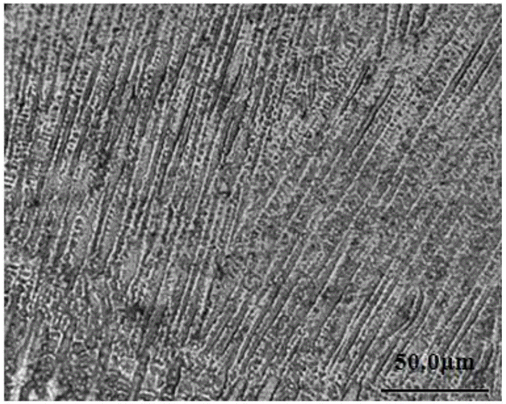 Low-hydrogen basic welding rod for welding 1Ni9 steel and preparation method thereof