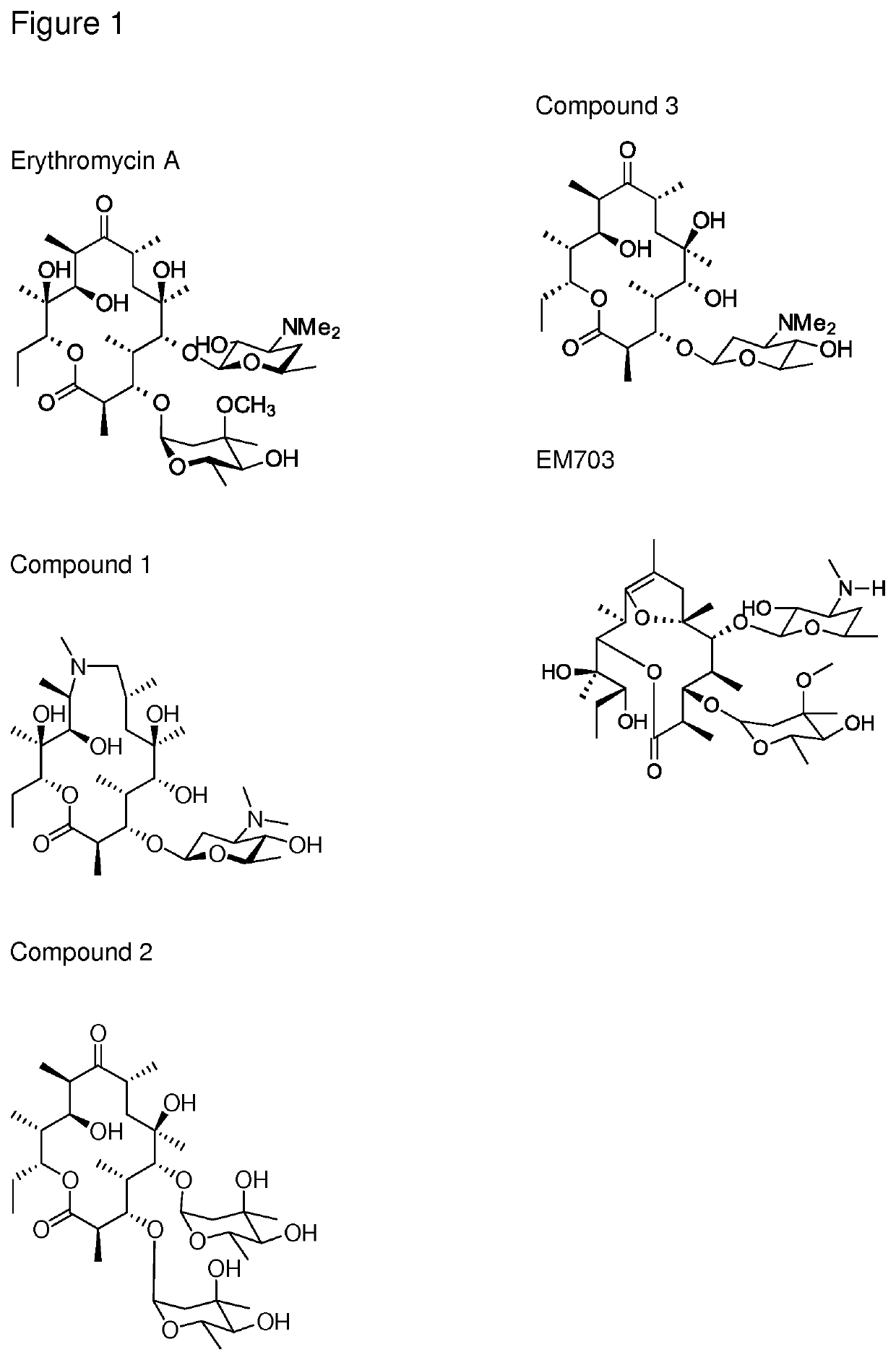 Novel immune stimulating macrolides