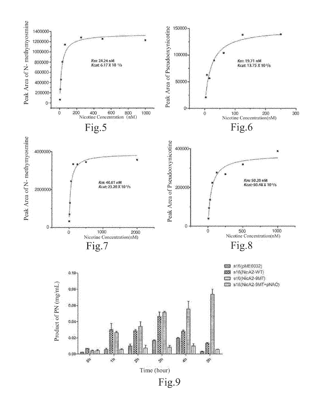 Enzyme and application thereof