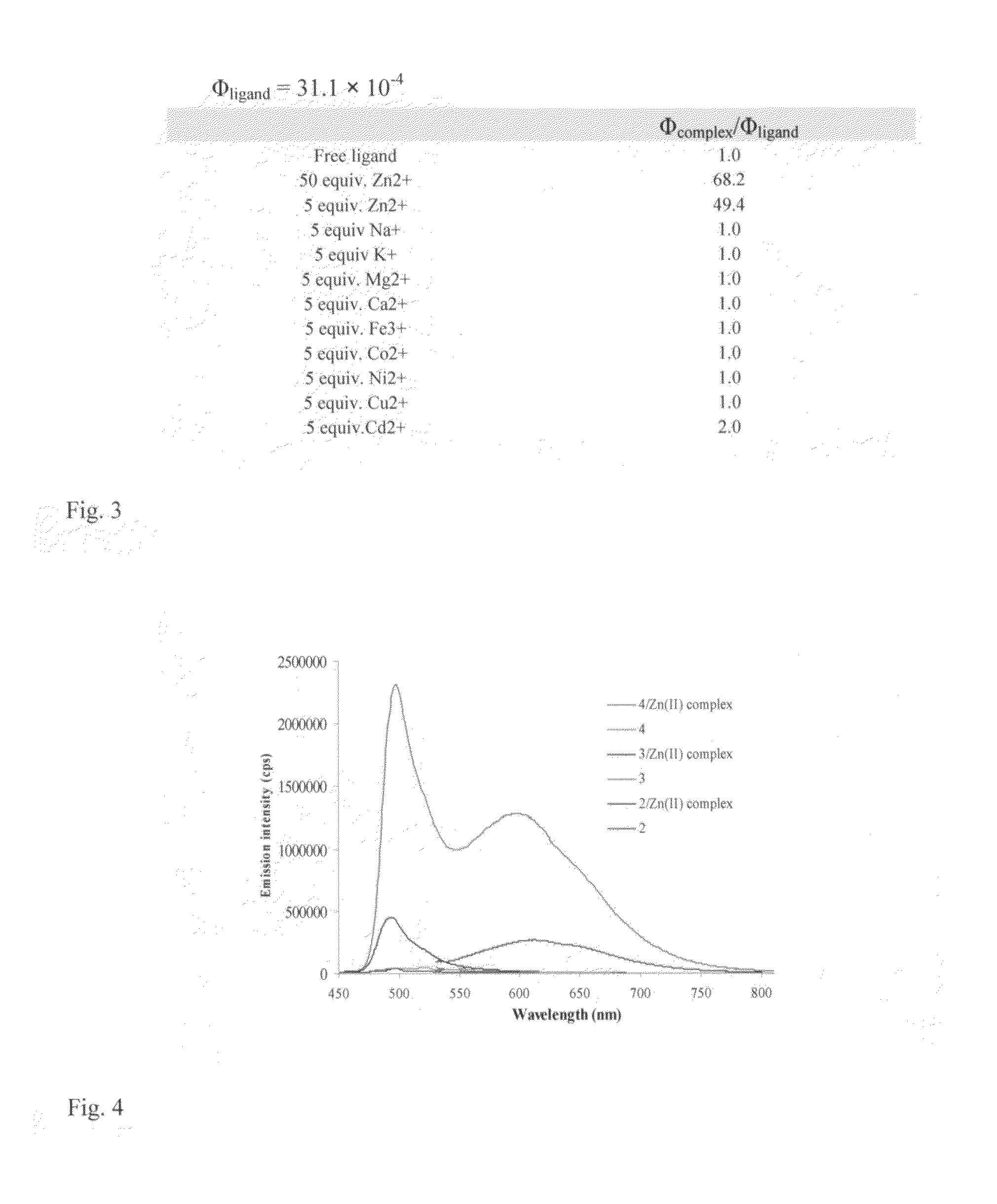 Fluorescent chemosensors for metals based on dipyrrins