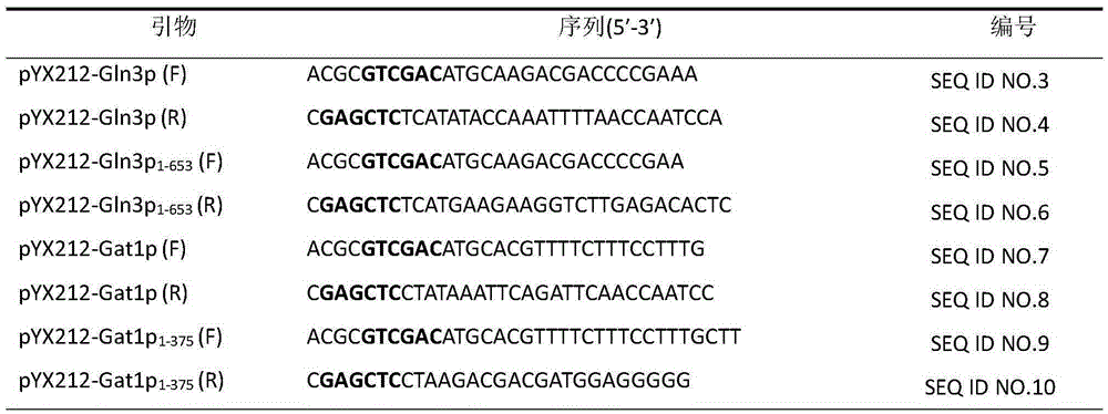 Method with function of reducing accumulation of ethyl carbamate in rice wine fermentation