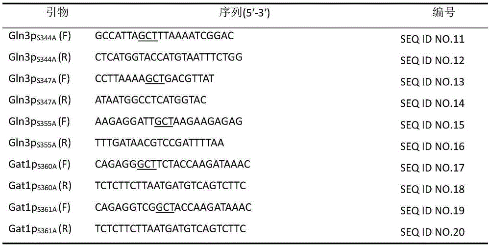 Method with function of reducing accumulation of ethyl carbamate in rice wine fermentation