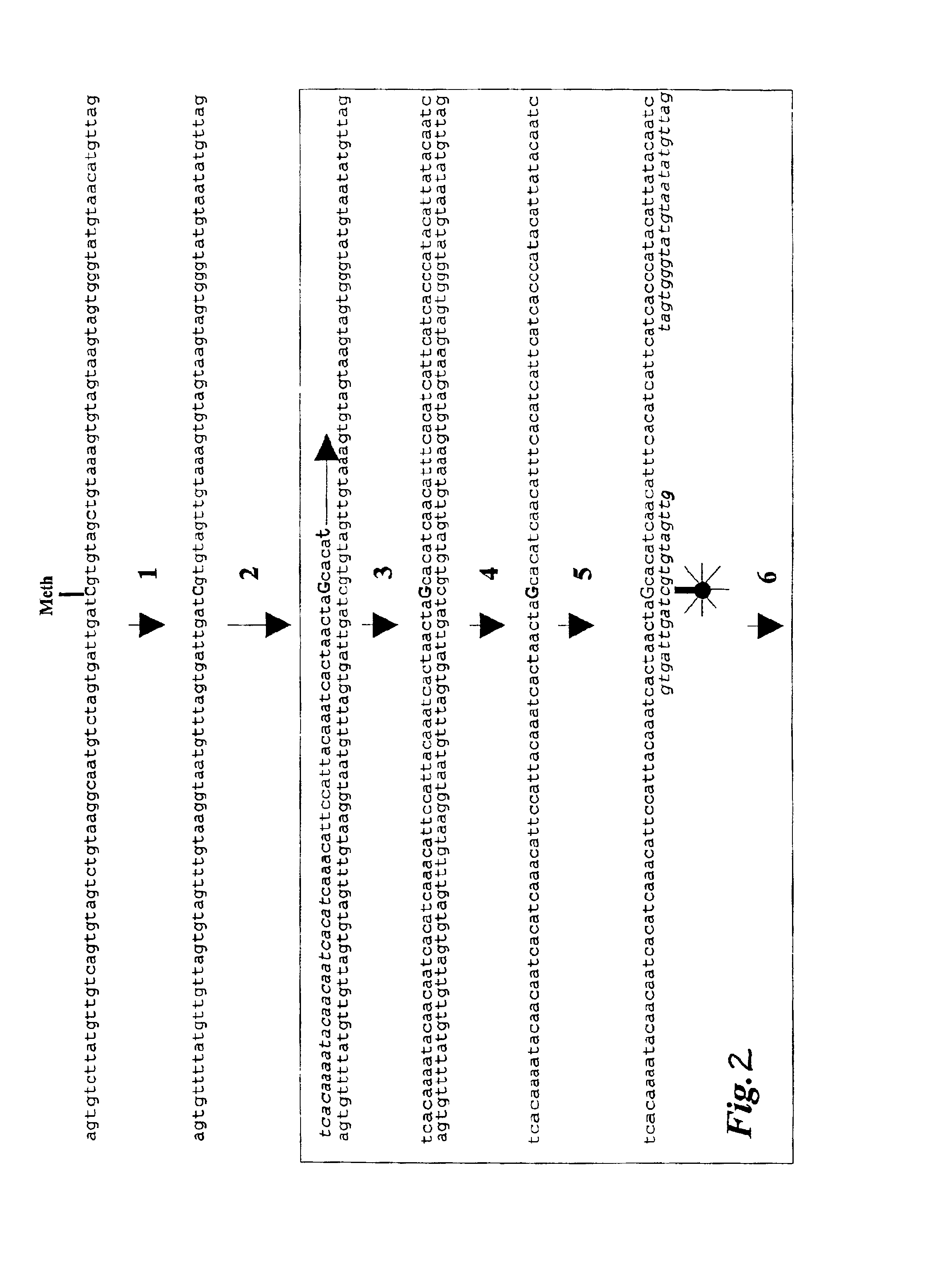 Quantitative methylation detection in DNA samples