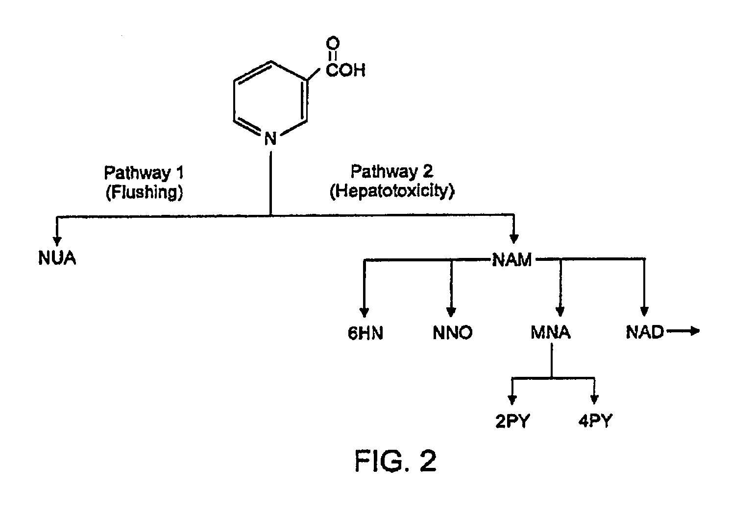 Methods For Treating Hyperlipidemia with Intermediate Release Nicotinic Acid Compositions Having Unique Biopharmaceutical Characteristics