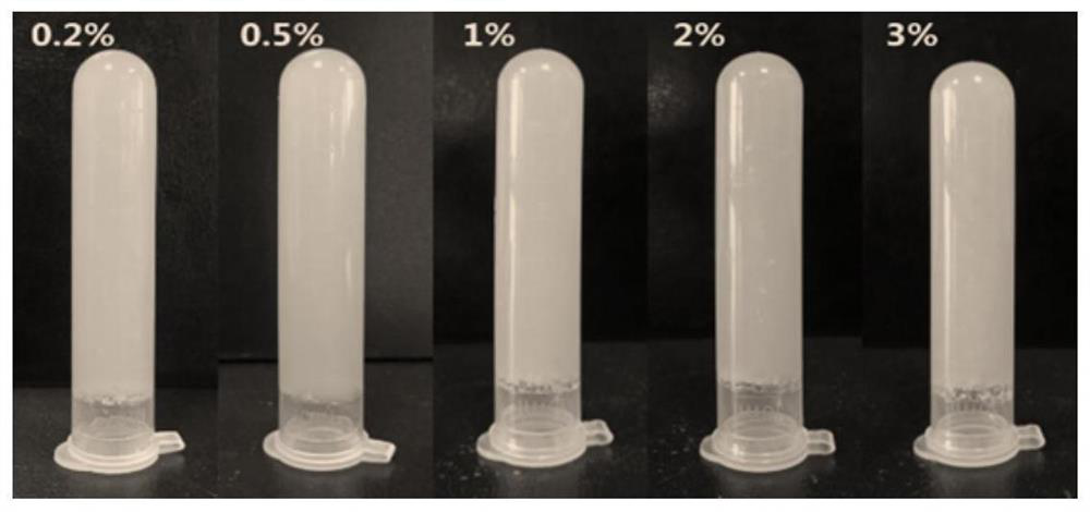 A food-grade antibacterial oil gel rich in polyunsaturated fatty acids based on vegetable oil and its preparation method