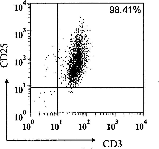 Anti-activated state T cell antibody vaccine for preventing and/or treating immune correlated disease