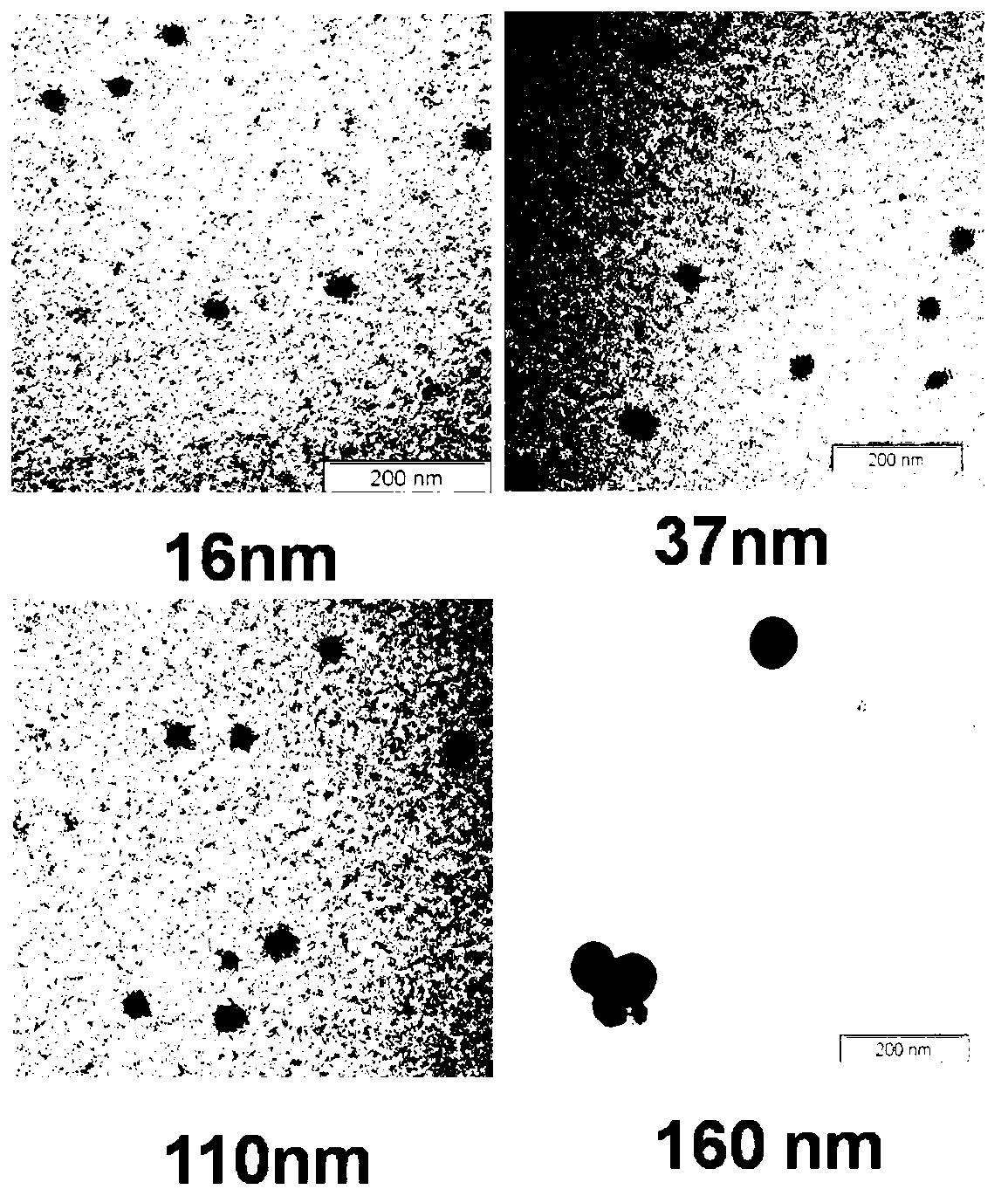 7-ethyl-10-hydroxycamptothecin amphiphilic polymer prodrug as well as preparation method and nano-particles thereof